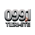 0991-termite logo
